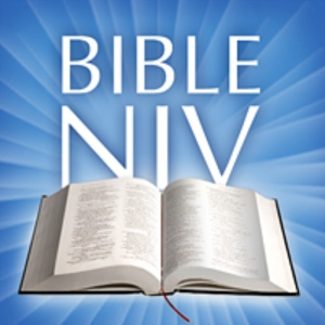 NIV Bible Offline手机上圣经阅读 支持在线和离线阅读的圣经PDF和英文文本